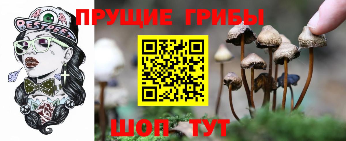 Галлюциногенные грибы Cubensis Железноводск