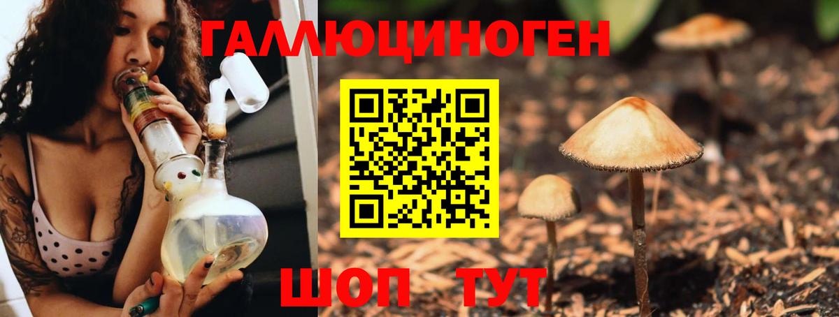 Железноводск  Галлюциногенные грибы Psilocybine cubensis  Псилоцибиновые грибы ЛСД  Вход с VPN 